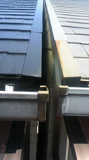 110706_1006~01.jpg